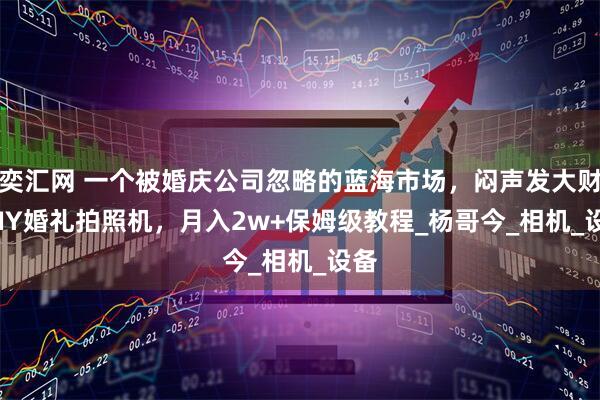 奕汇网 一个被婚庆公司忽略的蓝海市场，闷声发大财  DIY婚礼拍照机，月入2w+保姆级教程_杨哥今_相机_设备