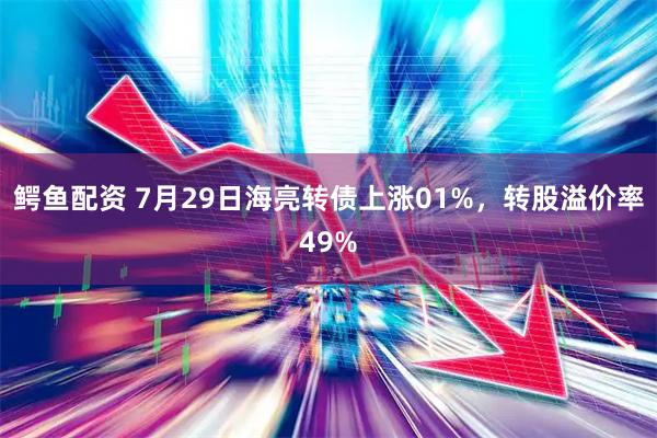 鳄鱼配资 7月29日海亮转债上涨01%，转股溢价率49%