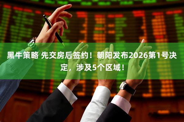 黑牛策略 先交房后签约！朝阳发布2026第1号决定，涉及5个区域！
